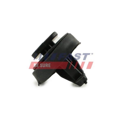 Clip Zier /schutzleiste Fast FT96310 für Iveco