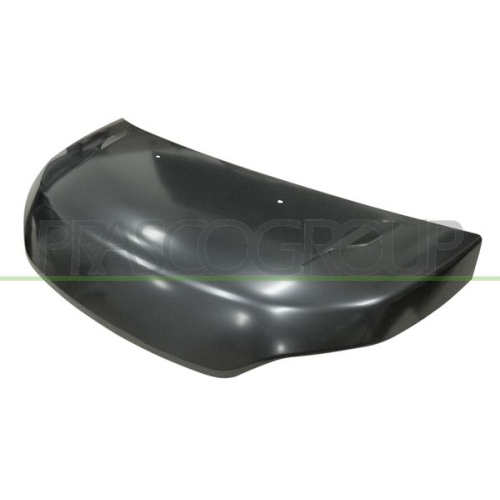 Motorhaube Prasco FT9503100 für Fiat