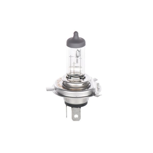 Glühlampe Fernscheinwerfer Bosch 1987302049 Plus 50 Ws für Toyota