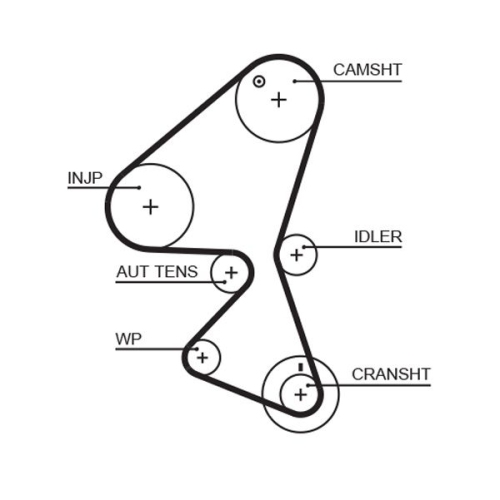 Zahnriemensatz Gates K015598XS Powergrip® für Citroën Fiat Ford Peugeot Suzuki