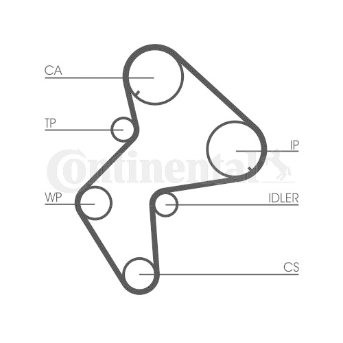 Zahnriemen Continental Ctam CT772 für Citroën Fiat Lancia Peugeot