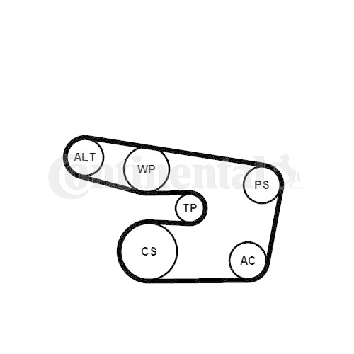 Keilrippenriemensatz Continental Ctam 6PK1873K3 für