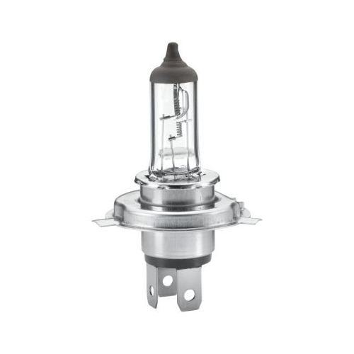 Glühlampe Fernscheinwerfer Hella 8GJ 242 632-101 Hella Valuefit für