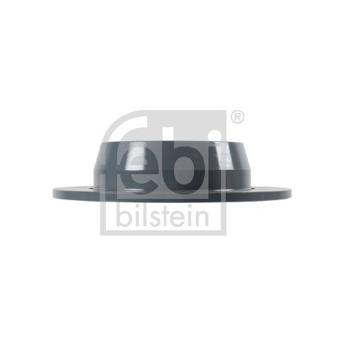 Bremsscheibe Febi Bilstein 10641 für Mercedes Benz Mercedes Benz Hinterachse